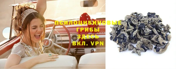 кокс Аркадак
