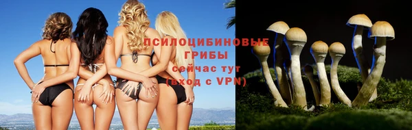 a pvp Армянск