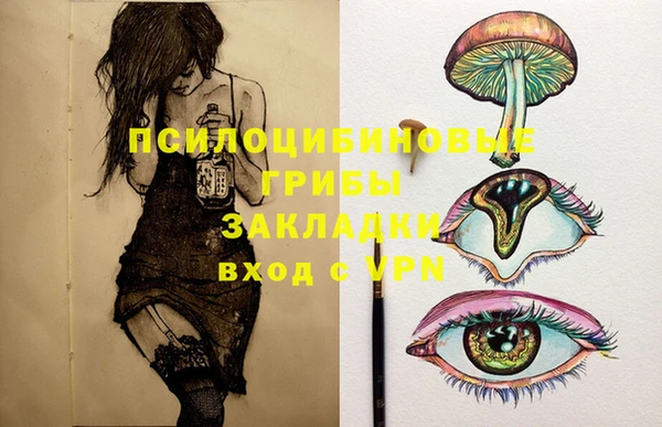 кокс Аркадак