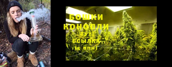 бошки Арсеньев