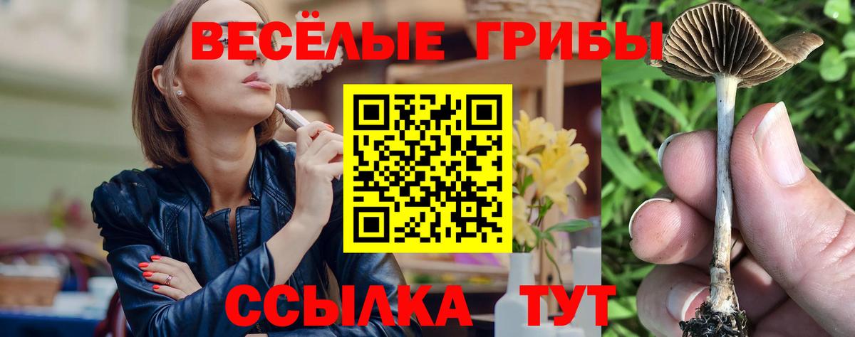 Протвино  Псилоцибиновые грибы мухоморы  Вход с VPN 